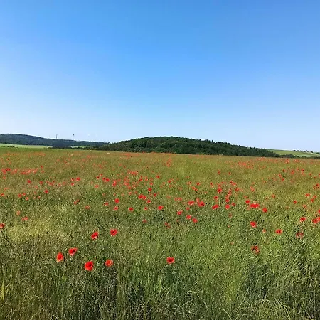 Hoehbergblick Таубербишофсхайм